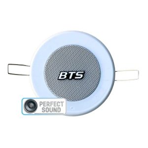 רמקול שקוע 3 אינץ שנאי קו BTS R3-6W